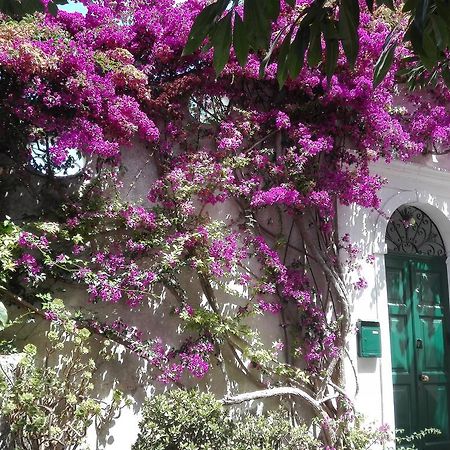 Il Gelso Apartment Anacapri  Luaran gambar